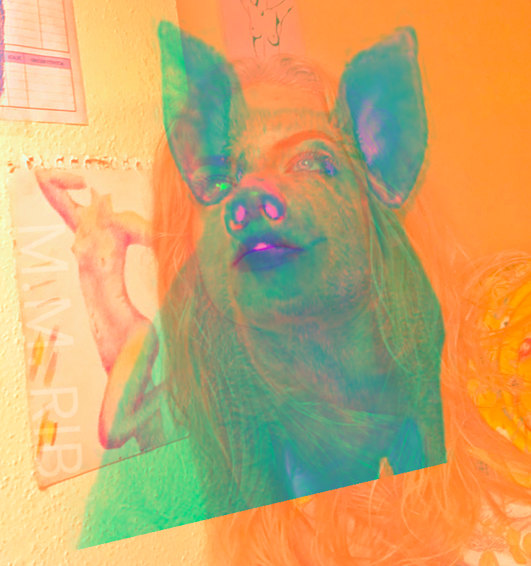 an orange picture of a blonde girl overlayed by a psychedelic blue picture of a pig.
end image description